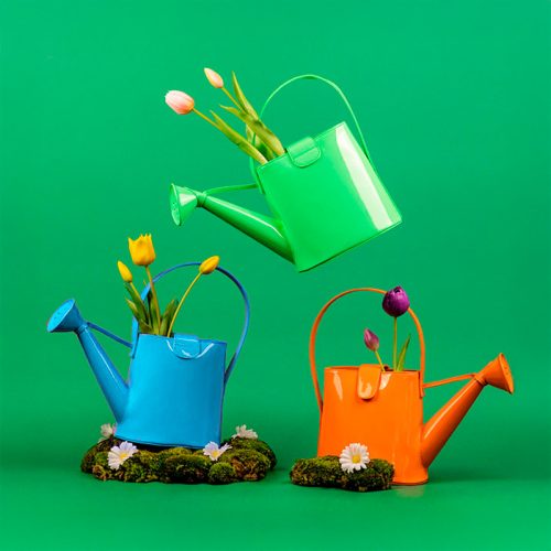 bolso original Garden Party Pylones con forma de regadera